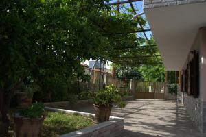 Bellas House