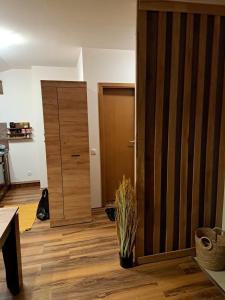Oferta noclegów 17137697