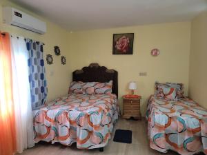 Oferta noclegów 17137735