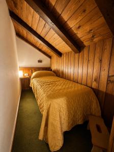 Cozy Chalet in Cortina