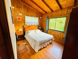 Cabañas en Valdivia LU