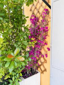 Residenza Santo Stefano 95 - Santo Stefano apartment