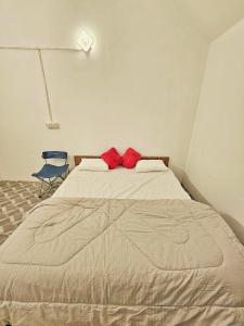 The Canvo Vattavada Private Cottages By Tribano Near Waterfall