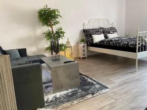 Oferta noclegów 17138254