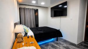 Oferta noclegów 17139021