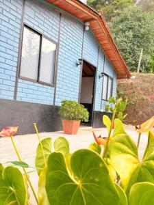 Villa Alto Verde