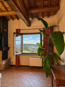 Casale Le Civette - Sunset Apartment