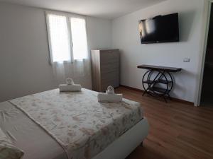 Oferta noclegów 17139297