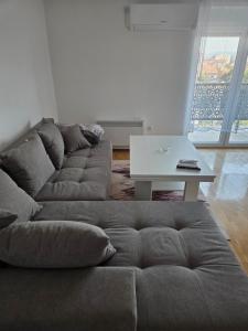 Oferta noclegów 17139306