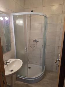 Oferta noclegów 17139306
