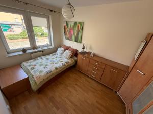 Oferta noclegów 17139404