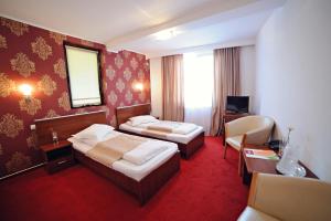 Twin Room room in Hotel Roberto Slanic Prahova
