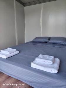 Oferta noclegów 17139118