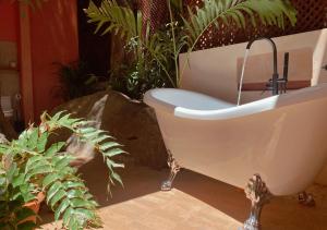 Casa Guadalupe, Boutique Tropical Casita