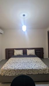 Oferta noclegów 17139729