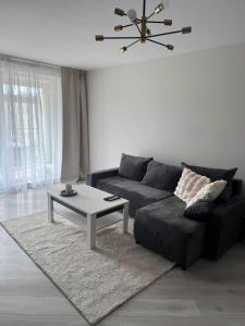 Oferta noclegów 17139788