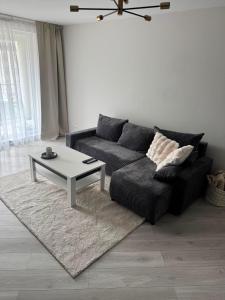 Oferta noclegów 17139788