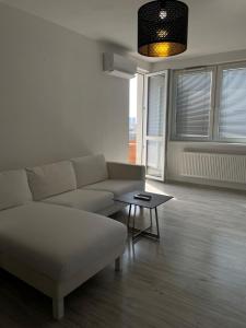 Oferta noclegów 17139706