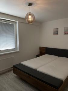 Oferta noclegów 17139706
