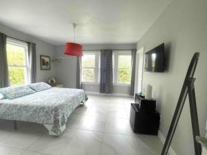 Colorful and Luminous Suite near MIA
