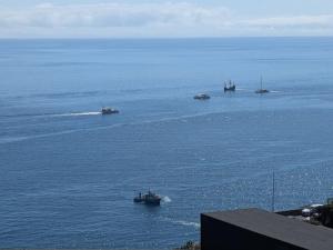 Camara de Lobos Apartment Sea and Mountain View