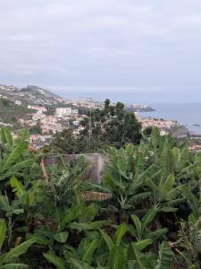 Camara de Lobos Apartment Sea and Mountain View