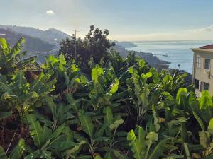 Camara de Lobos Apartment Sea and Mountain View
