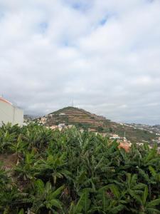 Camara de Lobos Apartment Sea and Mountain View