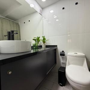 Oferta noclegów 17140338