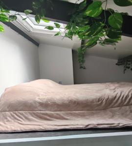 Mabel House Suites