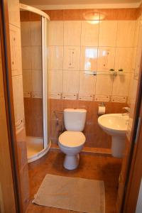 Oferta noclegów 17140478