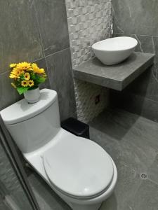 Oferta noclegów 17140570