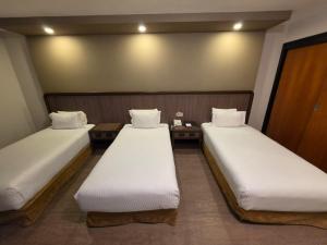 Hotel Metropol