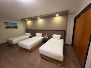 Hotel Metropol