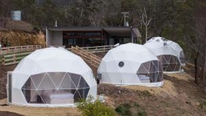 Land Nautical Glamping and Distillery