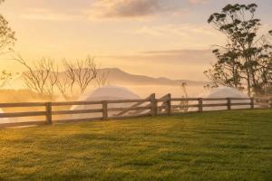 Land Nautical Glamping and Distillery