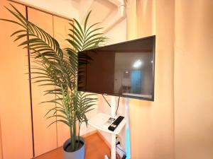 ura アオトハル