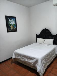 Oferta noclegów 17141461