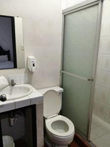 Oferta noclegów 17141461