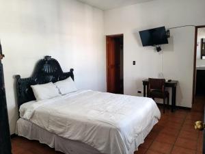 Oferta noclegów 17141461