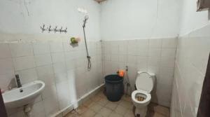 Oferta noclegów 17141709