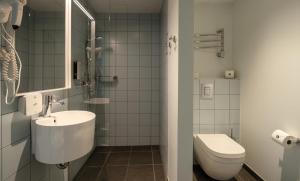 Wasa Resort Hotel, Apartments & SPA