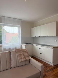 Oferta noclegów 17142070