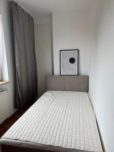 Oferta noclegów 17142070