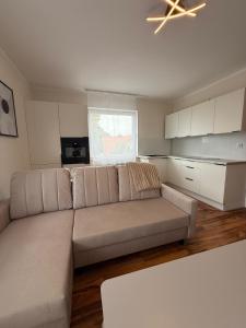 Oferta noclegów 17142070