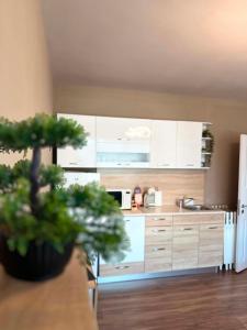 ANSTEL Apartment