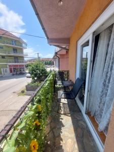 Apartman 23