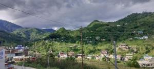 Suket homestay