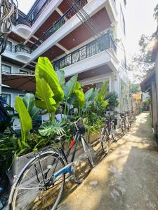 Solaria Tam Coc Homestay & Spa Ninh Bình