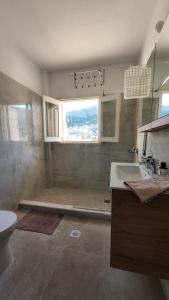 savvas pothia view